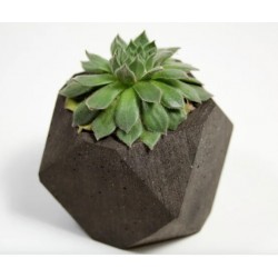 Geometric Planter & Tea Light Candle Holder